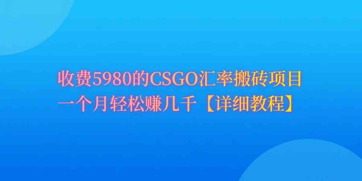 （9776期）CSGO装备搬砖，月综合收益率高达60%，你也可以！-清欢网创