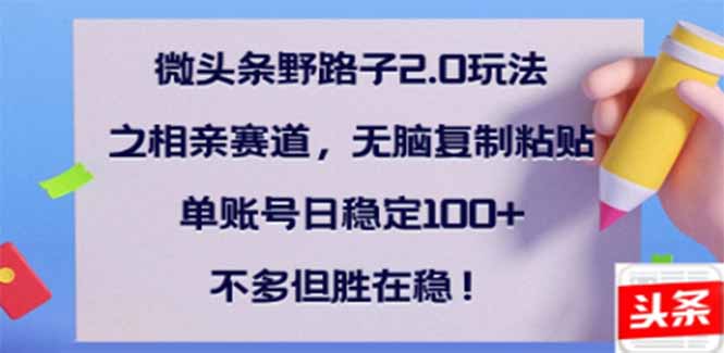 （14334期）微头条野路子2.0玩法之相亲赛道，无脑搬砖复制粘贴，单账号日稳定300+…-清欢网创