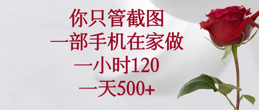 （14248期）你只管截图，一部手机在家做，一小时120，一天500+-清欢网创