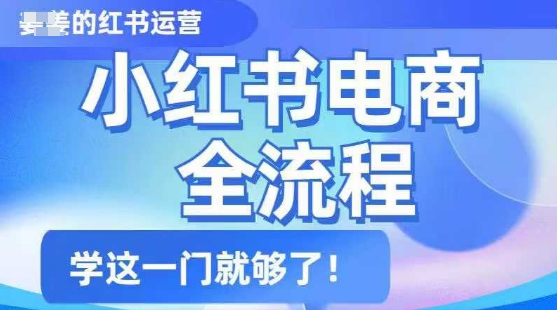 小红书电商全流程，精简易懂，从入门到精通，学这一门就够了-清欢网创