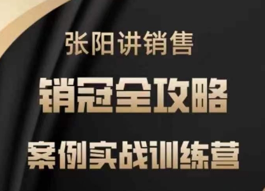 张阳讲销售实战训练营，​案例实战训练，销冠全攻略-清欢网创