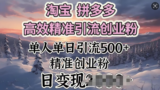 淘宝拼多多高效精准引流创业粉，单人单日引流500+创业粉，日变现多张-清欢网创