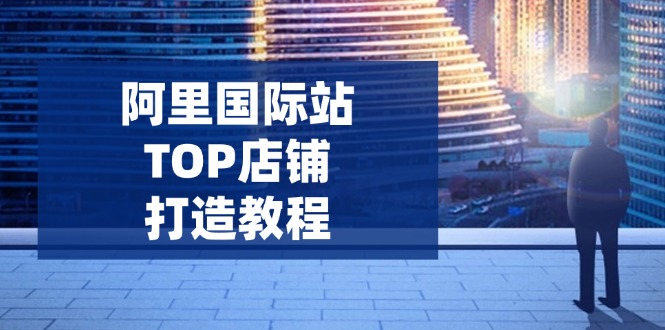 （14269期）阿里国际站TOP店铺打造教程：涵盖平台到高阶，解决运营难题，提升询盘-清欢网创