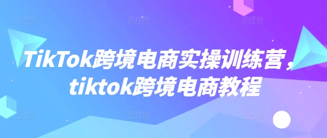 TikTok跨境电商实操训练营，tiktok跨境电商教程-清欢网创