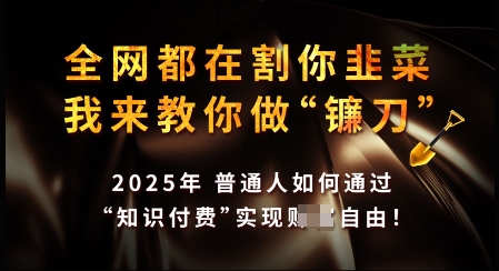 知识付费如何做到月入过W+，2025我来教你做“镰刀”【揭秘】-清欢网创