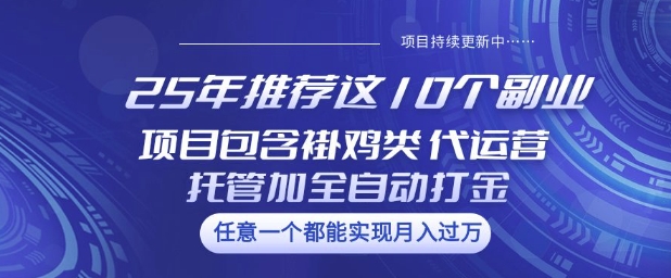 25年推荐这10个副业项目包含褂鸡类、代运营托管类、全自动打金类【揭秘】-清欢网创