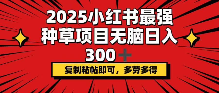 （14375期）2025小红书最强种草项目，无脑日入300+，复制粘帖即可，多劳多得-清欢网创