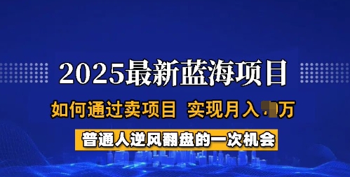 2025蓝海项目，普通人如何通过卖项目，实现月入过W，全过程【揭秘】-清欢网创