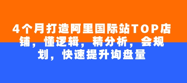 4个月打造阿里国际站TOP店铺，懂逻辑，精分析，会规划，快速提升询盘量-清欢网创