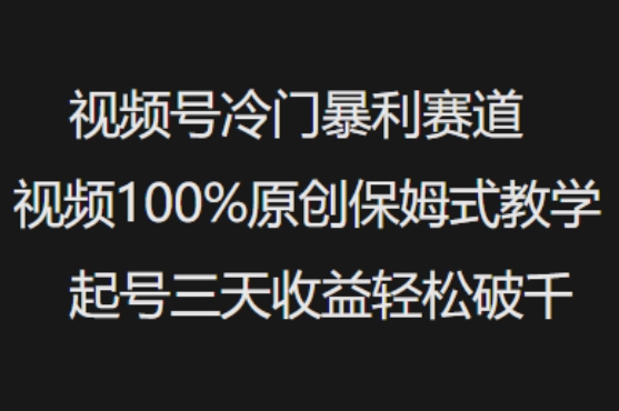 视频号冷门暴利赛道视频100%原创保姆式教学起号三天收益轻松破千-清欢网创