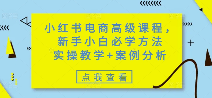 小红书电商高级课程，新手小白必学方法，实操教学+案例分析-清欢网创