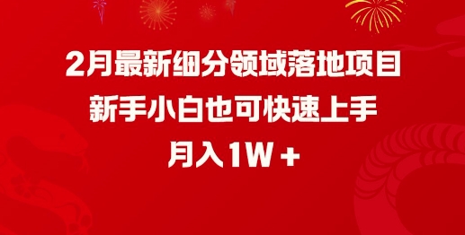 2月最新细分领域落地项目，新手小白也可快速上手，月入1W-清欢网创