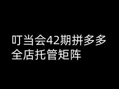 叮当会拼多多打爆班原创高阶技术第42期，拼多多全店托管矩阵-清欢网创